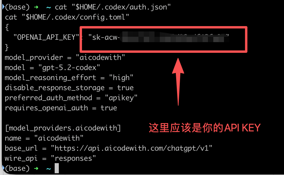 codex macOS step3 image1