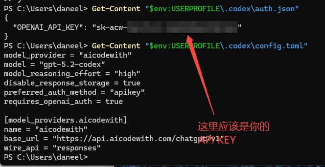 codex windows step3 image1