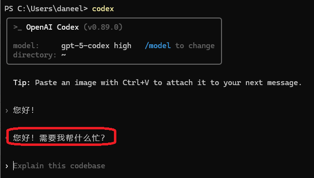 codex windows step4 image2